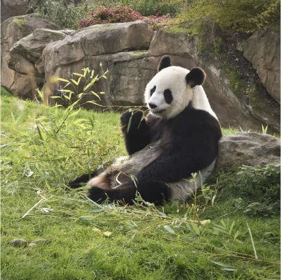 hotel et restaurant à Montrichard dans le Loir-et-Cher 41